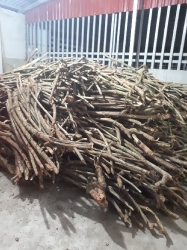 Thuốc vừa được chuyển về được xếp thành tầng đống