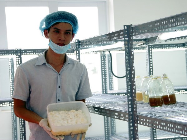 Chàng trai 9X trồng thành công đông trùng hạ thảo