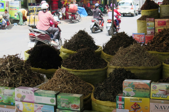Hiểu đúng về thuốc đông y