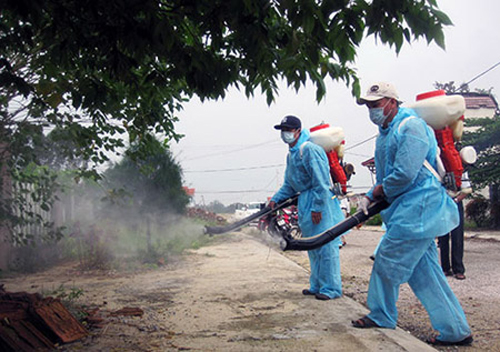 Thuốc nam chữa sốt xuất huyết